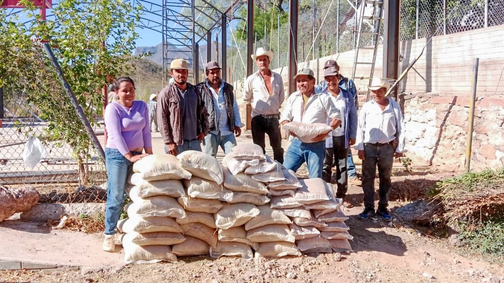 Fortalece Estado La Autosuficiencia Alimentaria Con Insumos Para