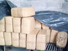 Decomisan en aeropuerto mexicano 220 kilos de fentanilo procedente de España