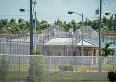 Activan mecanismos de protección ante quejas de abusos a migrantes en Estados Unidos