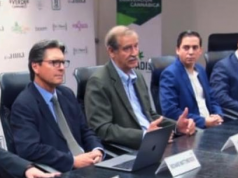 Busca Vicente Fox comercialización de productos con Cannabis