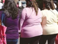 Propone senador creación del Sistema Nacional de Nutrición
