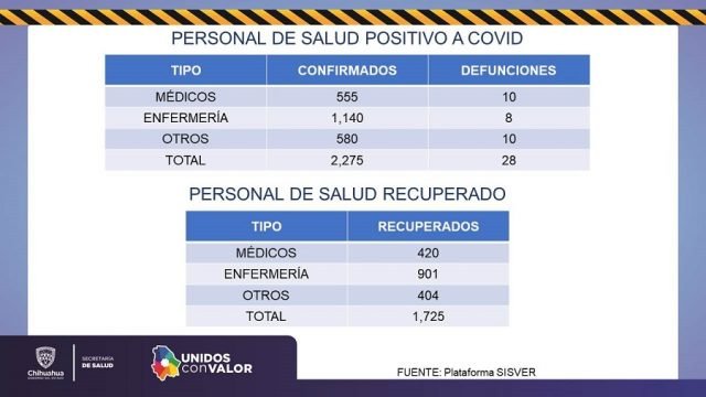 COVID CHIHUAHUA