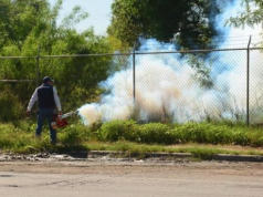 Suman 71 casos de dengue en Nuevo Laredo