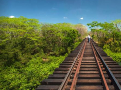 Aumenta 17 mil 500 millones más costo del Tren Maya
