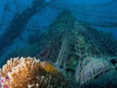 México se suma a iniciativa contra redes de pesca fantasma