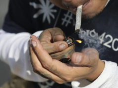 Iglesia Católica critica iniciativa para legalizar marihuana