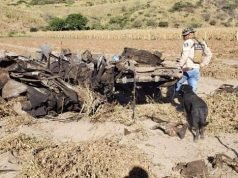 Sube a 14 cifra de muertos por explosión de pipa de gas
