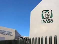 Recupera México más de 200 mil empleos