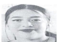 Pesquisa