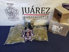 Aseguran marihuana en el interior de una paquetería
