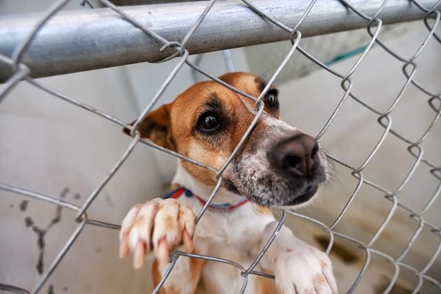 5ff8c558ebaca__5ff8c558ebacd