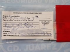 Arrestan a infractor que presentó una licencia falsa