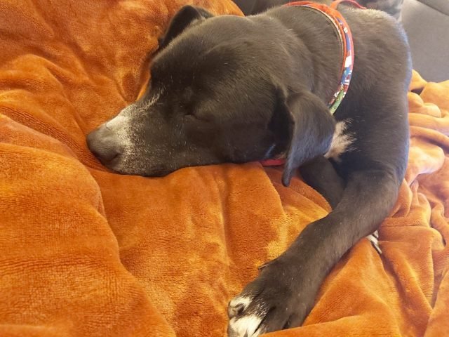 602ae5c4adf05__602ae5c4adf09