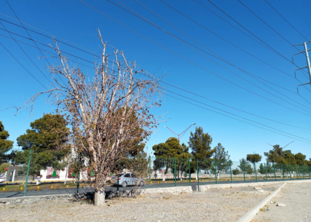 Captura de pantalla 2021-02-08 a la(s) 11.42.23