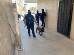 Aprehenden a narcomenudistas; entre ellos dos mujeres venezolanas