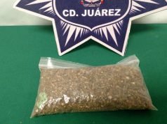 Cae con marihuana para elaborar 51 cigarrillos