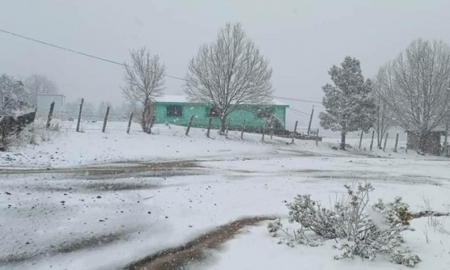 Captura de pantalla 2021-03-25 a la(s) 10.47.58