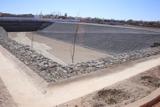 Colector Pradera Dorada