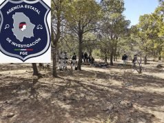 Hallan osamentas en Gómez Farías