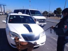 Siguen operativos de la SSPM en el Puente Libre