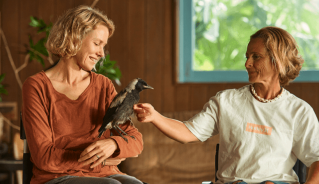 Captura de pantalla 2021-04-28 a la(s) 14.03.49