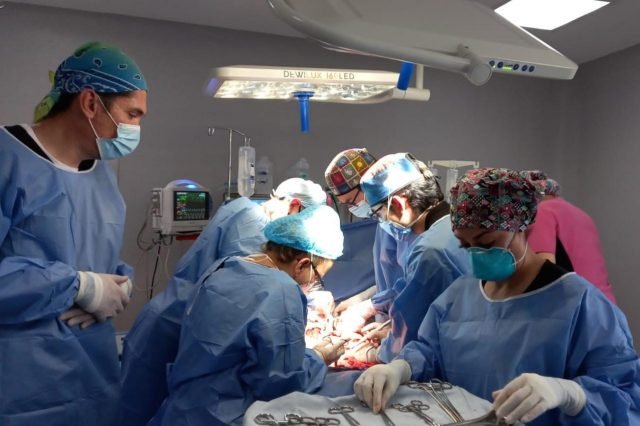 42da9eb4-4d44-4278-a83a-7caca48a50da