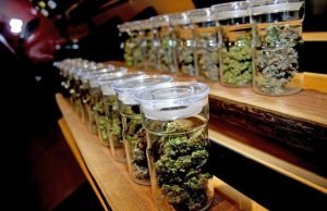 ¿Cómo la legalización del cannabis cambia el mercado de drogas ilegales?