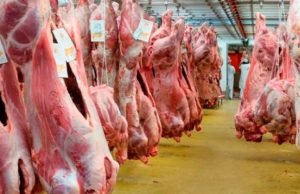 Reanuda Argentina de manera parcial las exportaciones de carne