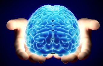 Los alimentos más peligrosos para el cerebro, según la Universidad de Bath