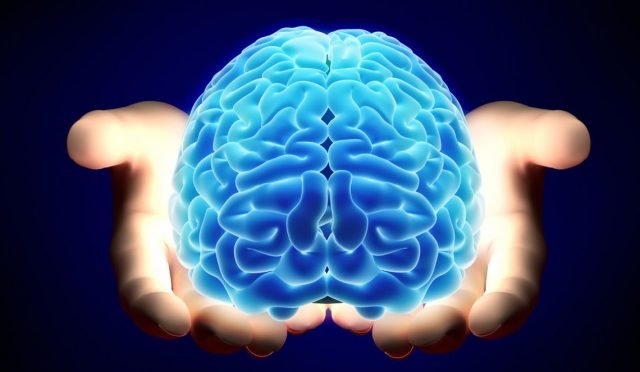 Cerebro
