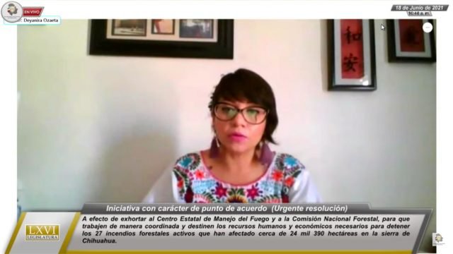 DIPUTADA DEYANIRA OZAETA-PT