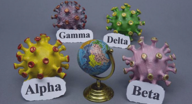 Películas-y-TV-24_06_2021-02_37_09-p.-m.-2