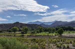 Abre México al sector privado para explotar litio