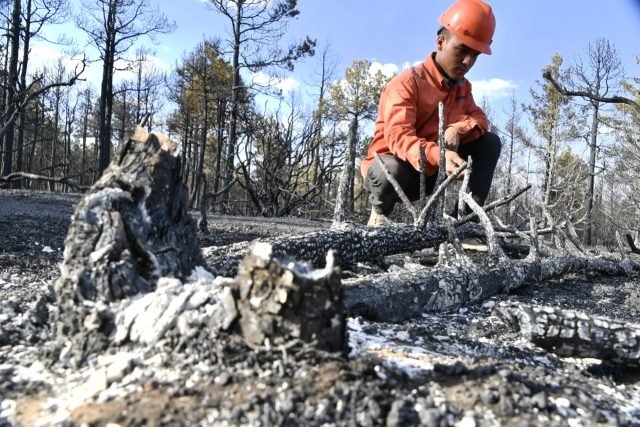 WhatsApp Image 2021-06-21 at 18.17.26