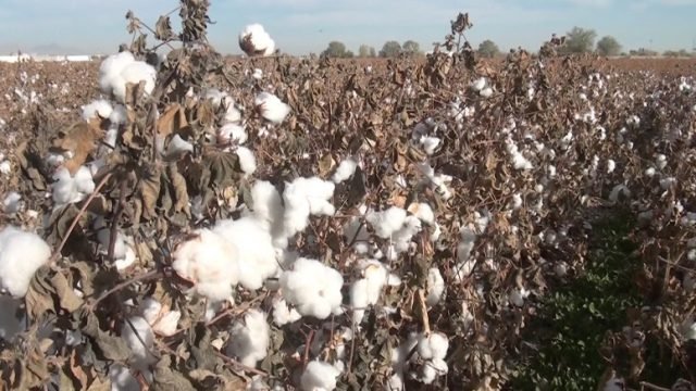 WhatsApp Image 2021-06-29 at 9.40.53 PM