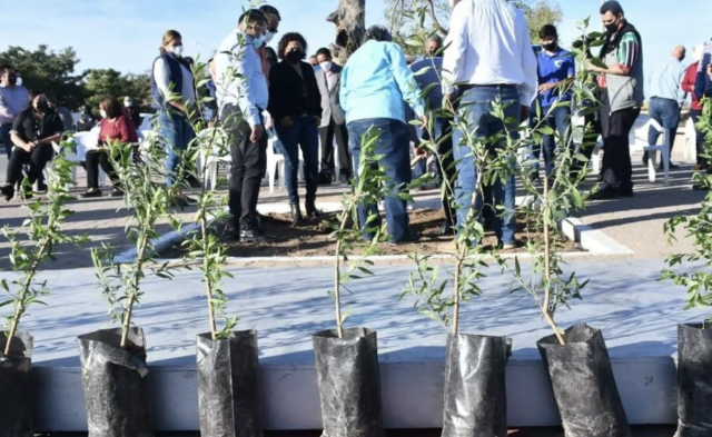 Captura de Pantalla 2021-07-13 a la(s) 7.54.02 p.m.