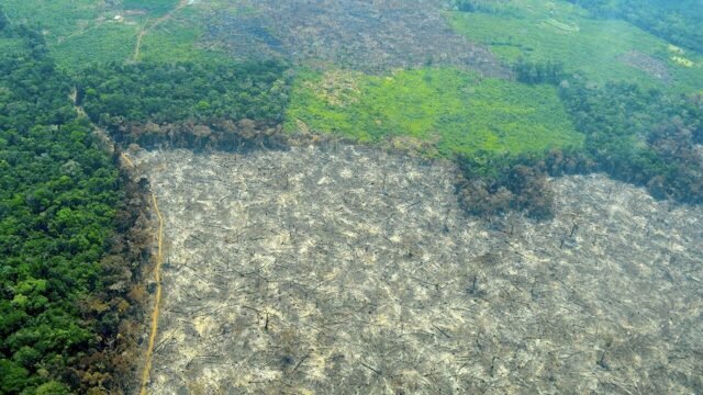 1110501450_0_67_1280_787_1920x0_80_0_0_fcbf8c44ef646655a8f58f10148b2629