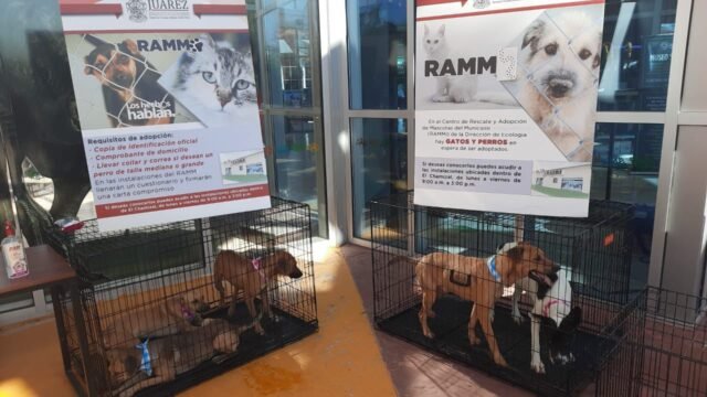 6175b7a4b9a2f__6175b7a4b9a31