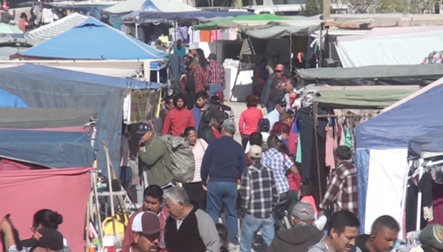 Captura de pantalla 2021-10-25 a las 7.30.18 p.m.