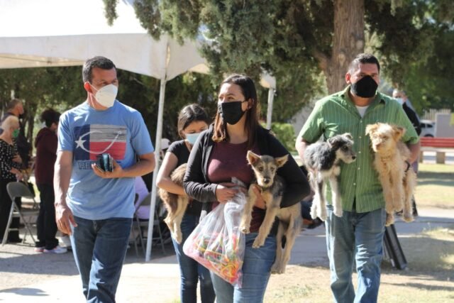 6192869e6266e__6192869e62672