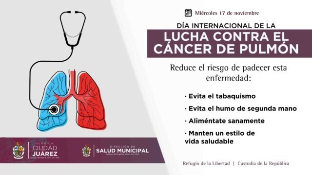 619533a606b57__619533a606b59