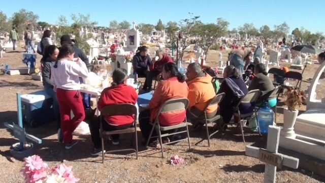 WhatsApp Image 2021-11-01 at 9.34.13 PM