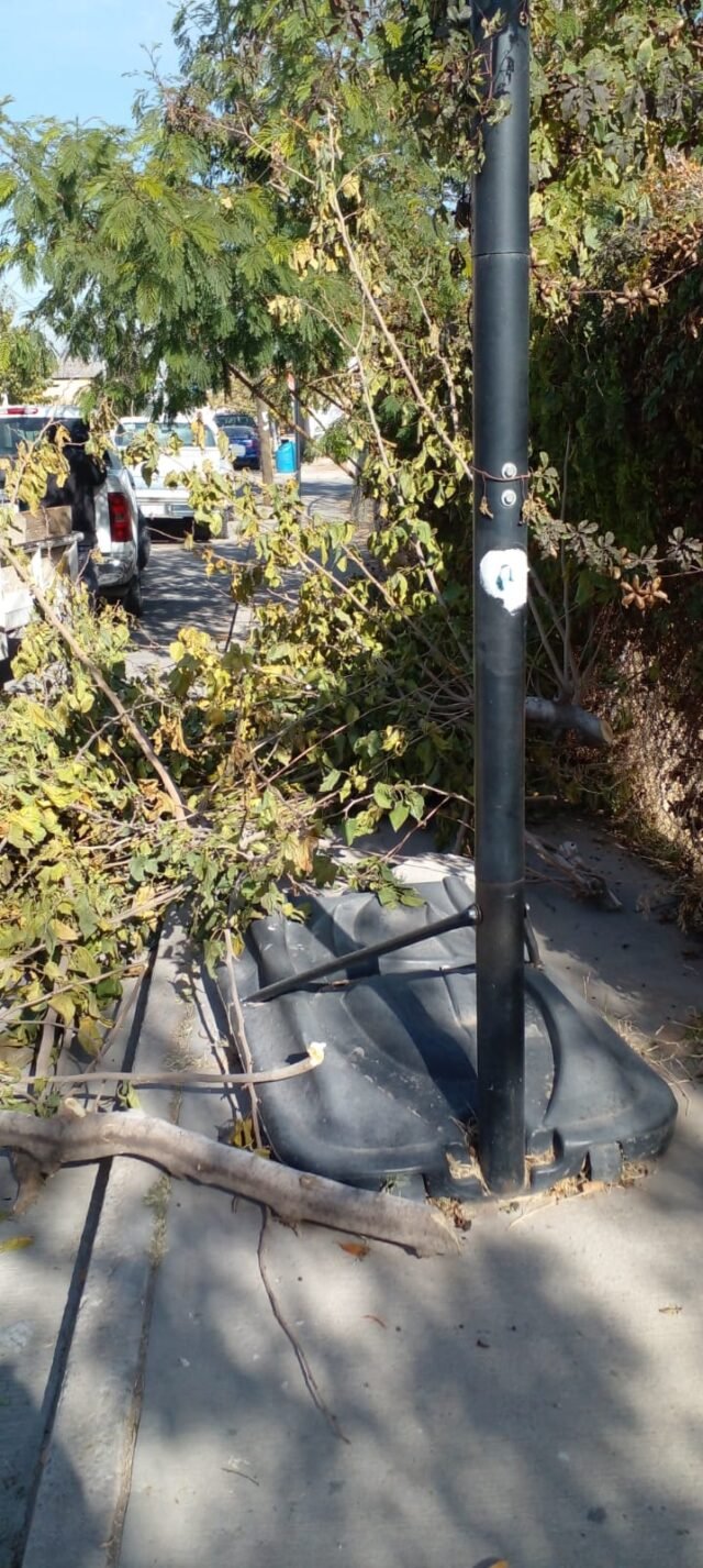 61b9143a3ebe7__61b9143a3ebe9