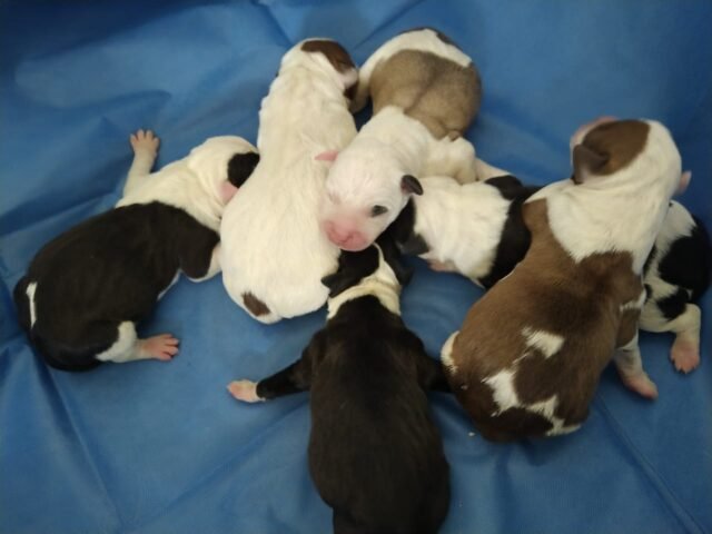 61cb7e4c8f57b__61cb7e4c8f580