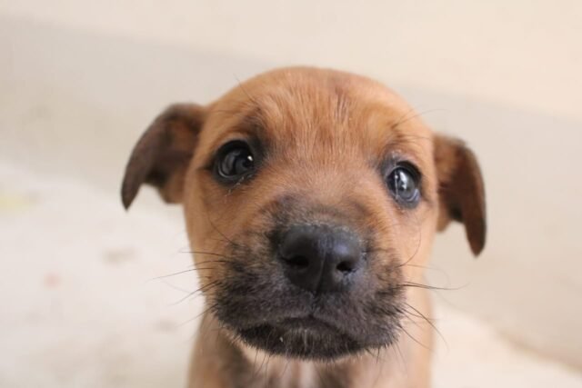 61f45db8ea38e__61f45db8ea390