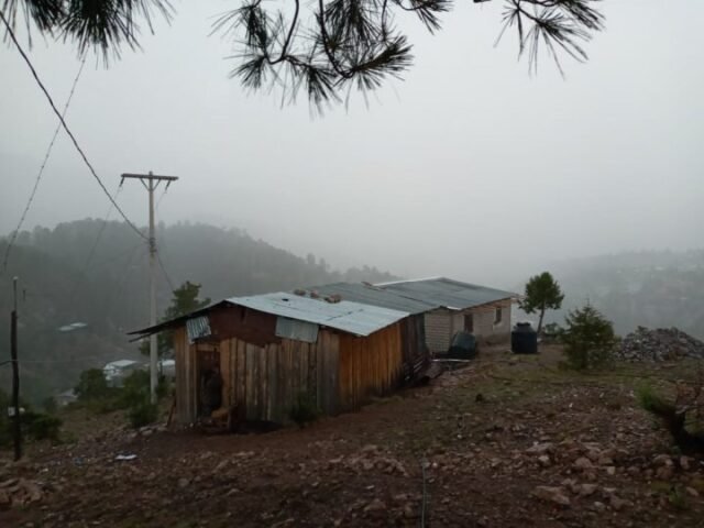 WhatsApp Image 2022-01-25 at 8.11.44 PM