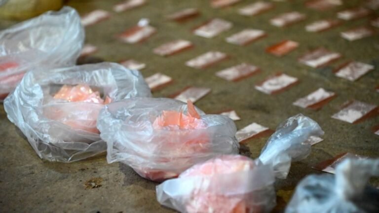 Más de 70 intoxicados por consumo de drogas adulteradas en Argentina