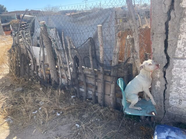 62040f887e929__62040f887e92d