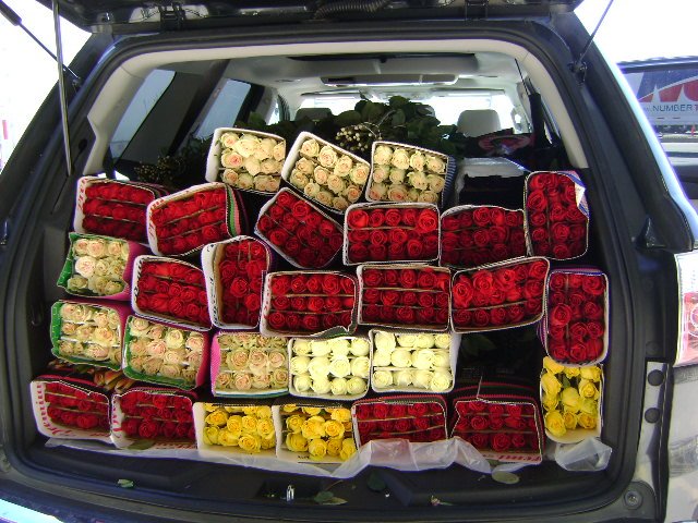 WhatsApp Image 2022-02-09 at 8.44.46 PM