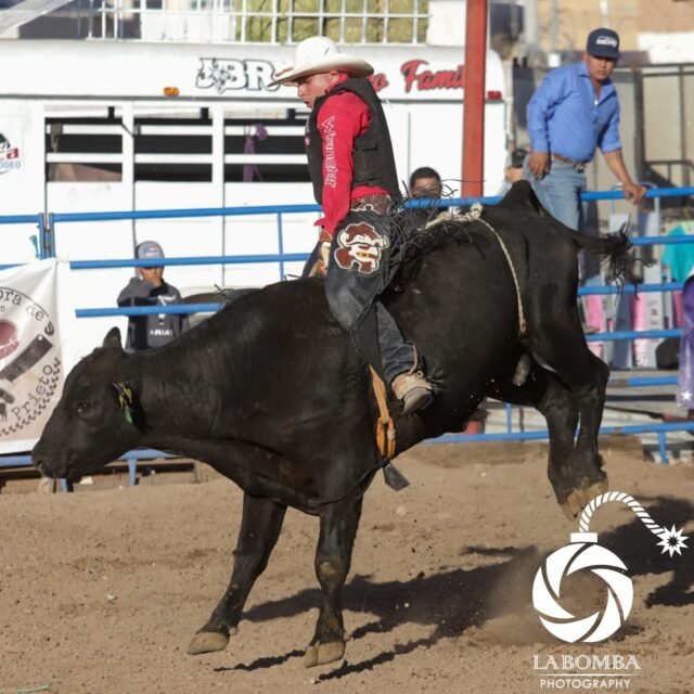 621fcf2811ad8__621fcf2811adb